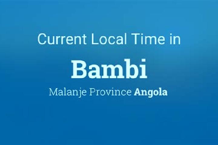Escorts Bambi, Angola — Local Companions