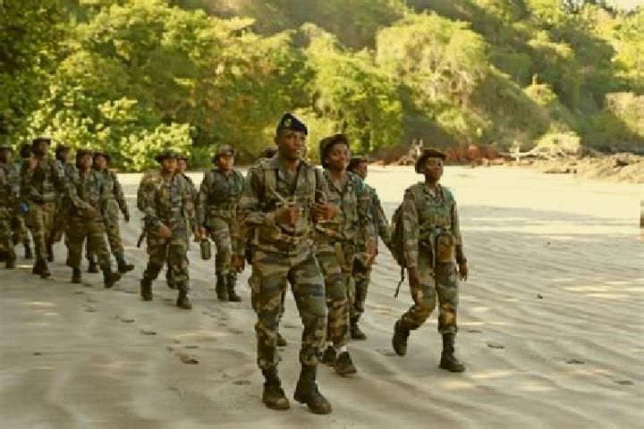 Escorts Bambo Est, Mayotte — Local Companions