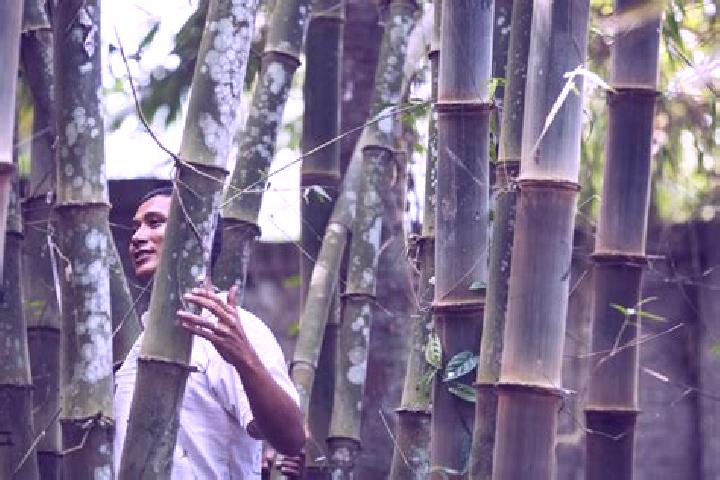 Escorts Bamboo Flat, India — Local Companions