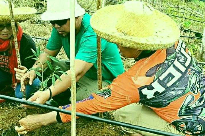 Escorts Ban Ang Sila, Thailand — Local Companions