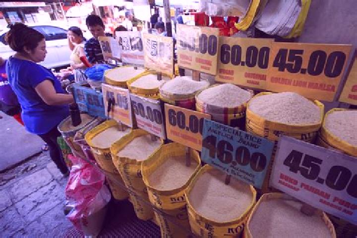 Escorts Banalo, Philippines — Local Companions