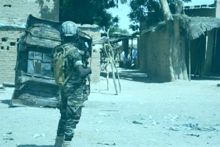 Escorts Bani Bangou, Niger — Local Companions