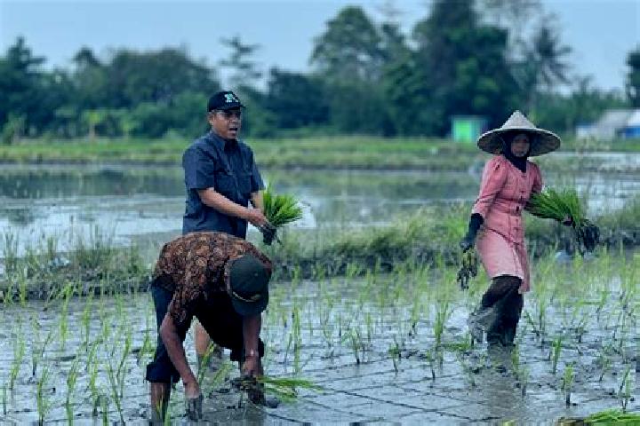 Escorts Banjar Jabon, Indonesia — Local Companions