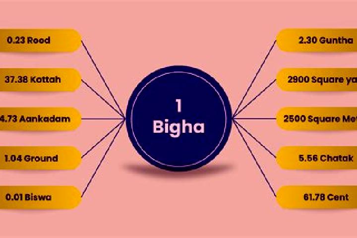 Escorts Bar Bigha, India — Local Companions