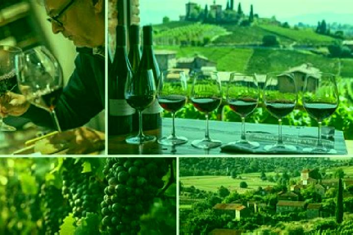 Escorts Barbaresco, Italy — Local Companions