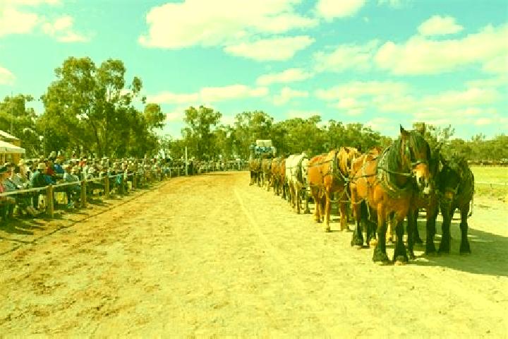 Escorts Barellan, Australia — Local Companions