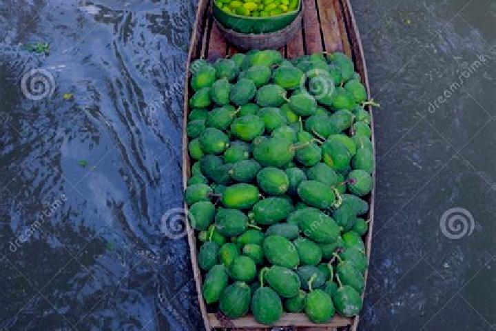 Escorts Barishal, Bangladesh — Local Companions