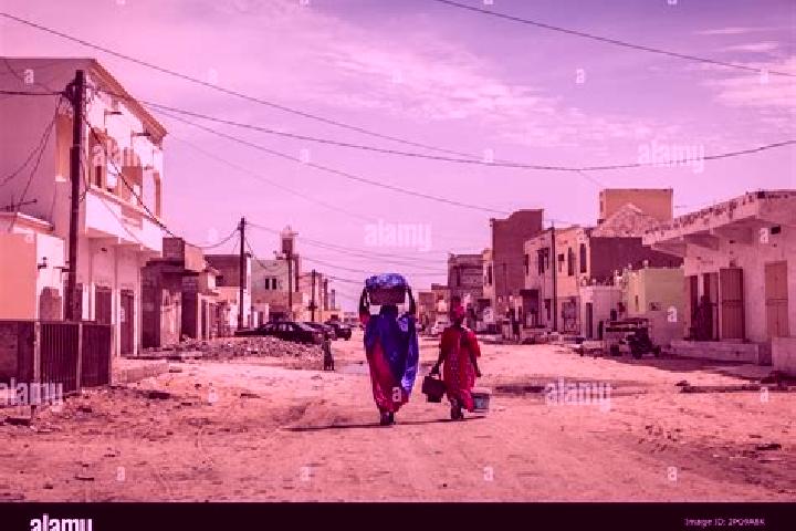 Escorts Barkewol, Mauritania — Local Companions
