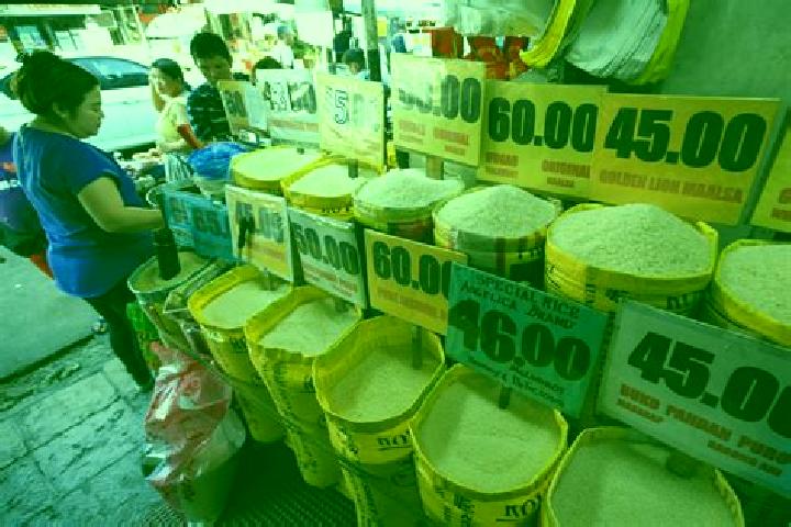 Escorts Bascaron, Philippines — Local Companions