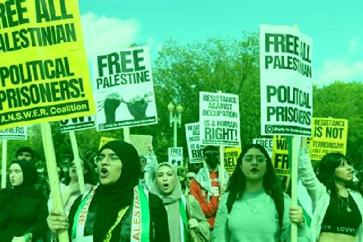 Escorts Bat A in, Palestine — Local Companions