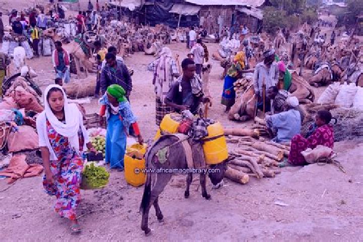 Escorts Bati, Ethiopia — Local Companions