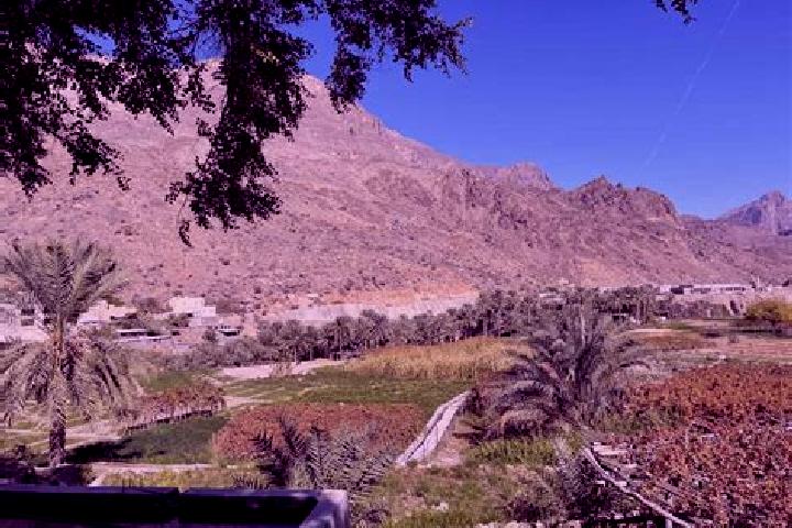 Escorts Bayt al Awabi, Oman — Local Companions