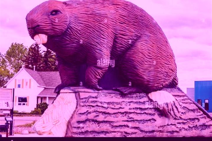 Escorts Beaverlodge, Canada — Local Companions