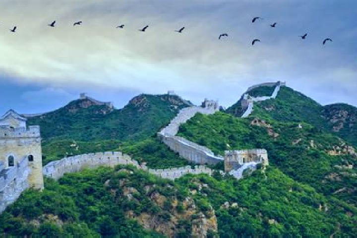 Escorts Beijiang, China — Local Companions