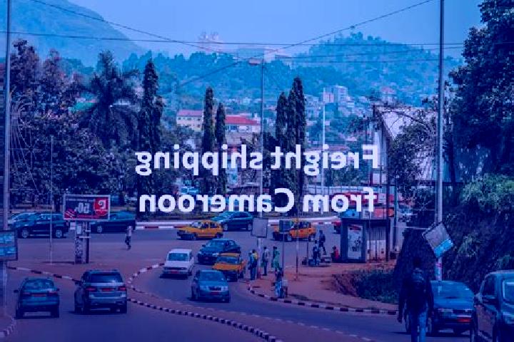 Escorts Bekondo, Cameroon — Local Companions