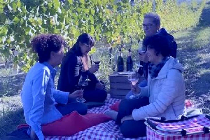 Escorts Belforte Monferrato, Italy — Local Companions