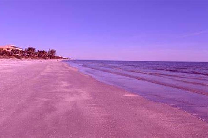 Escorts Belleair Beach, United States — Local Companions