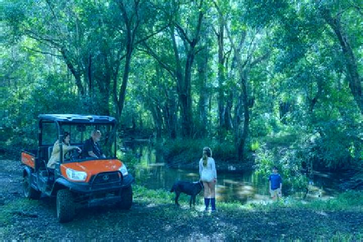 Escorts Belli Park, Australia — Local Companions