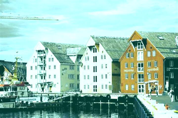 Escorts Bergen, Norway — Local Companions