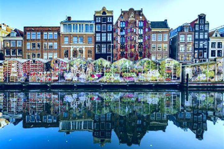 Escorts Bergeyk, Netherlands — Local Companions