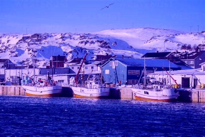 Escorts Berlevag, Norway — Local Companions