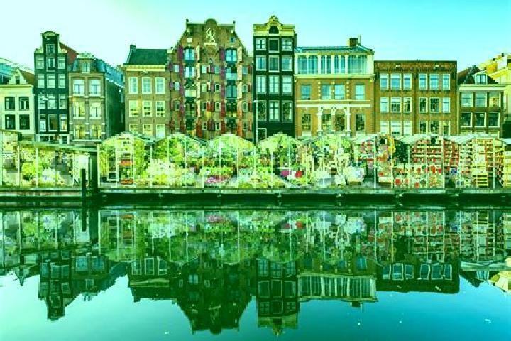 Escorts Berltsum, Netherlands — Local Companions