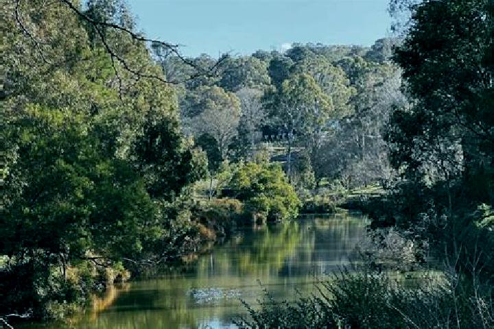 Escorts Berrima, Australia — Local Companions