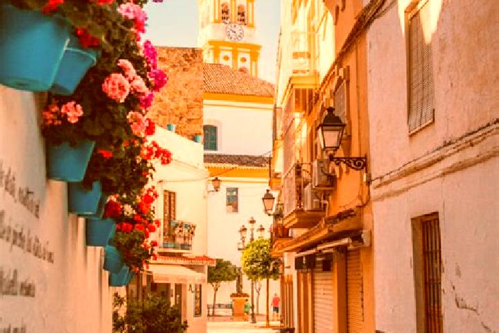 Escorts Berrocalejo, Spain — Local Companions