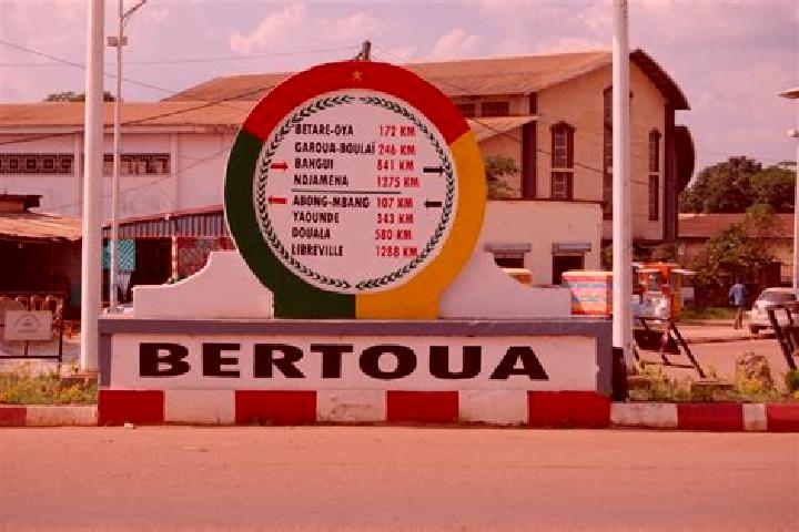 Escorts Bertoua, Cameroon — Local Companions