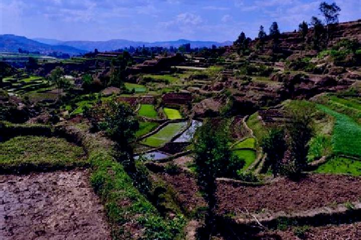 Escorts Betafo, Madagascar — Local Companions