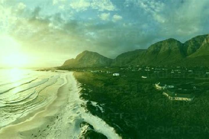 Escorts Betty s Bay, South Africa — Local Companions