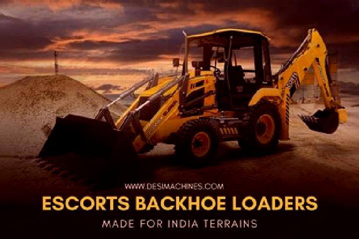Escorts Bhikhi, India — Local Companions