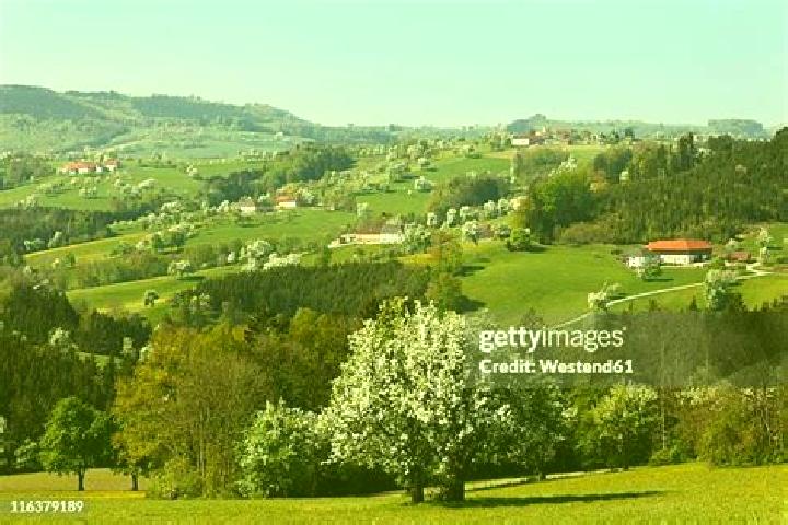Escorts Biberbach, Austria — Local Companions