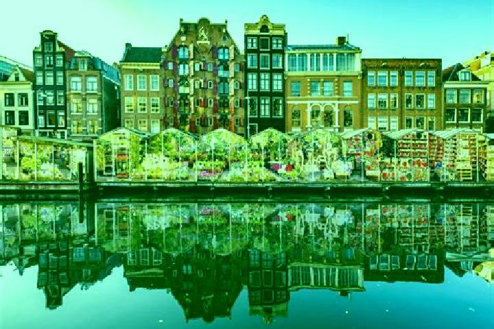 Escorts Bierum, Netherlands — Local Companions