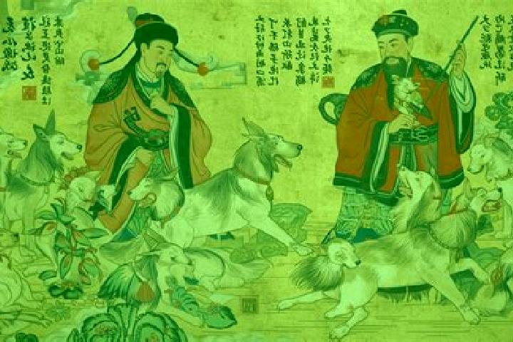 Escorts Bimu, China — Local Companions