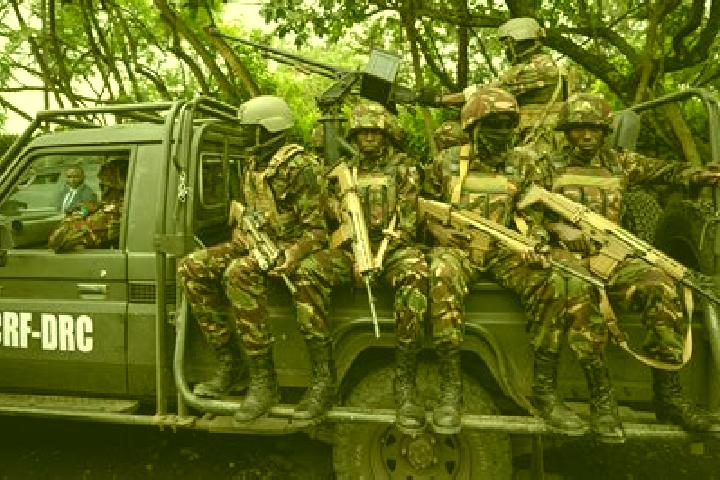 Escorts Binga, DR Congo — Local Companions