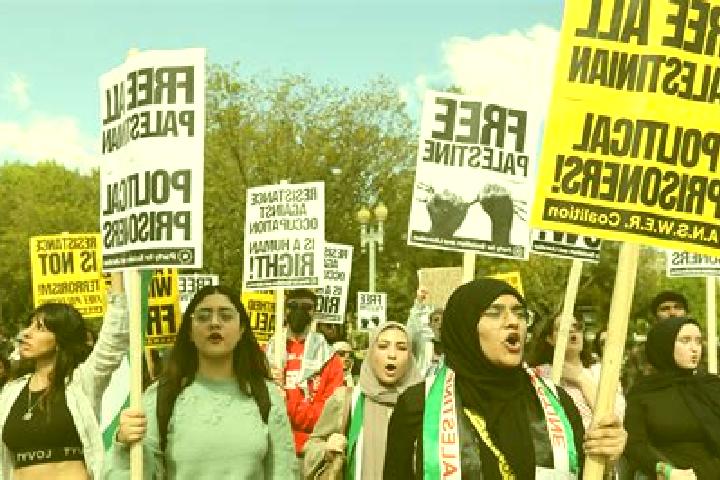 Escorts Bi r Awnah, Palestine — Local Companions