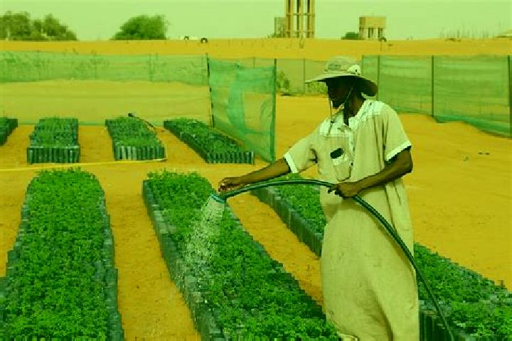 Escorts Bir Mogran, Mauritania — Local Companions