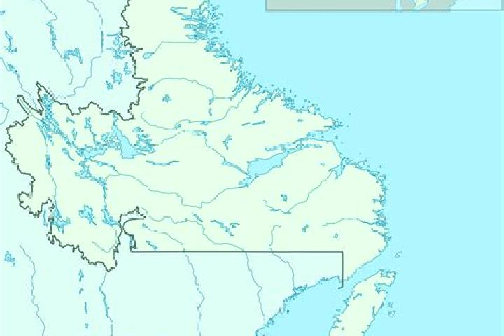 Escorts Birchy Bay, Canada — Local Companions