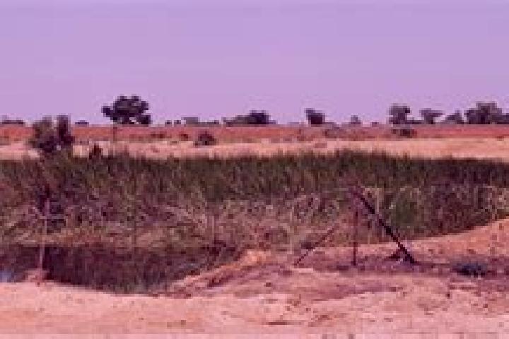 Escorts Birnin Gaoure, Niger — Local Companions