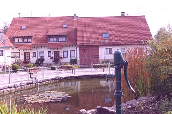 Escorts Bissingen an der Teck, Germany — Local Companions