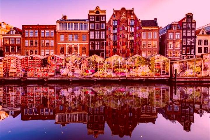 Escorts Blaarthem, Netherlands — Local Companions