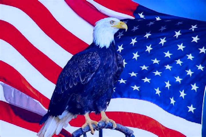 Escorts Black Eagle, United States — Local Companions