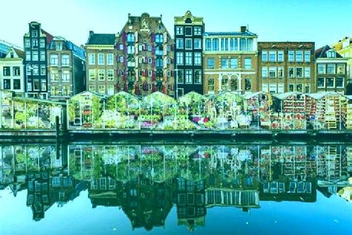 Escorts Blaricum, Netherlands — Local Companions