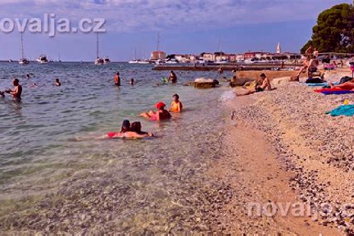 Escorts Blejska Dobrava, Slovenia — Local Companions