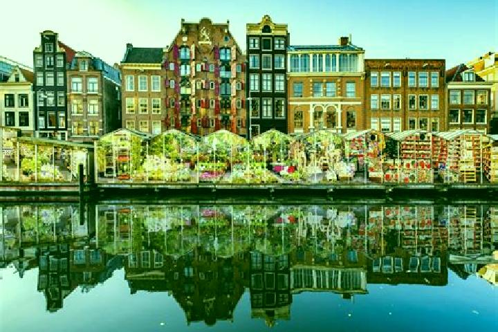 Escorts Blije, Netherlands — Local Companions