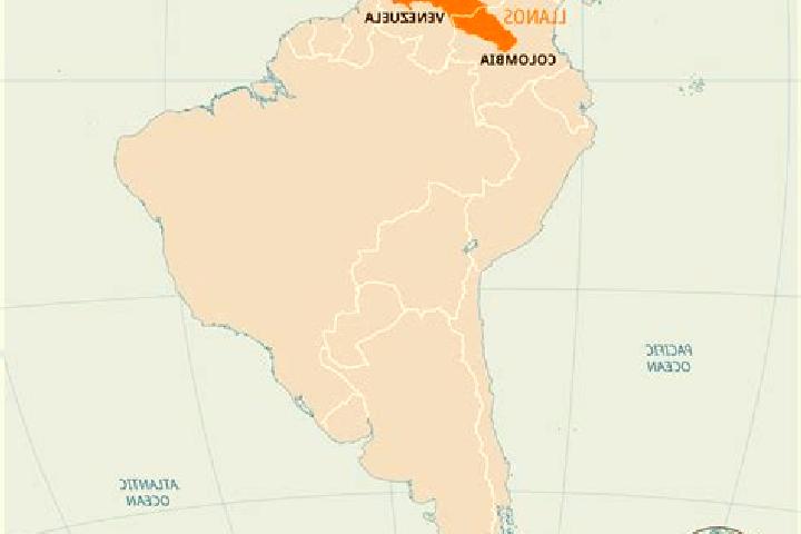 Escorts Boca de Rio, Venezuela — Local Companions
