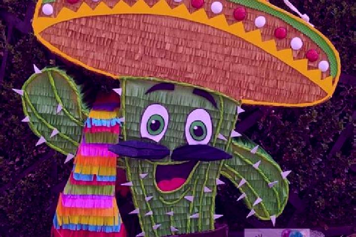 Escorts Boca Nopal, Mexico — Local Companions