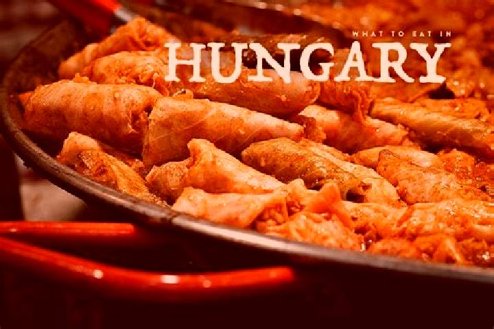 Escorts Bocs, Hungary — Local Companions