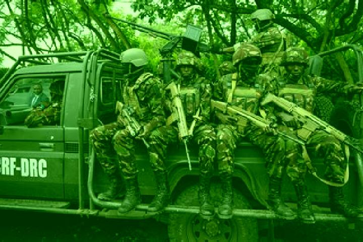 Escorts Boende, DR Congo — Local Companions